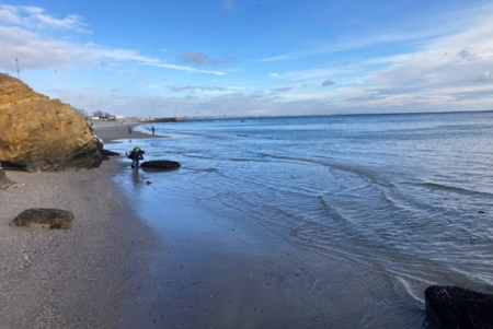 Ситуація із забрудненням узбережжя Одеси станом на 29 грудня (фото)