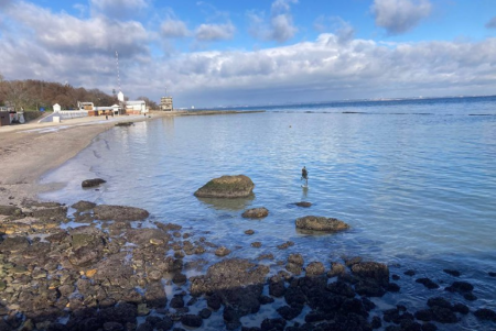 Ситуація із забрудненням узбережжя Одеси станом на 29 грудня (фото)