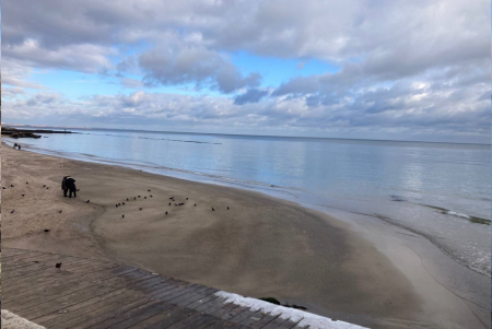 Ситуація із забрудненням узбережжя Одеси станом на 29 грудня (фото)