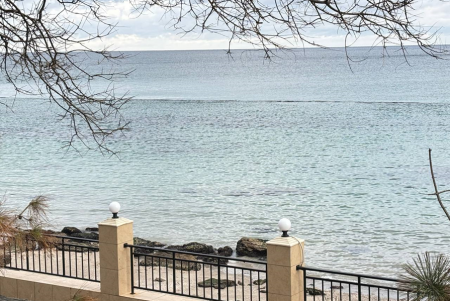 Ситуація із забрудненням узбережжя Одеси станом на 29 грудня (фото)