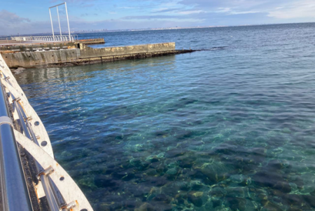 Ситуація із забрудненням узбережжя Одеси станом на 29 грудня (фото)