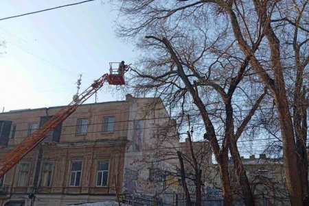 На вулиці Новосельського обмежено проїзд через роботи з підрізування дерев