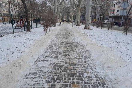 Одеські комунальники проводять роботи з благоустрою міста (фото)