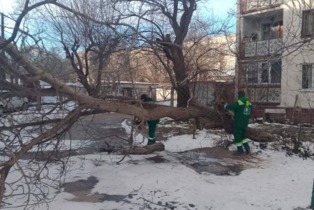 Одеські комунальники проводять роботи з благоустрою міста (фото)