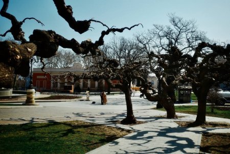 Одеса в березні - у ритмі мужності, сили та відродження