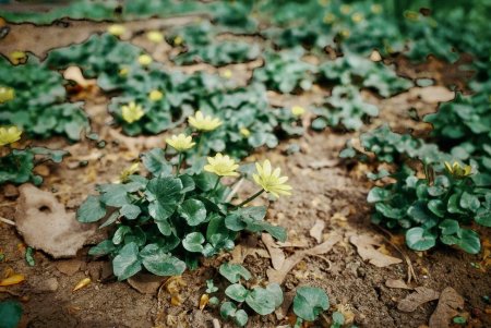 Одеса в березні - у ритмі мужності, сили та відродження