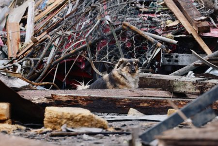 У Хаджибейському районі Одеси триває ліквідація наслідків обстрілу (фоторепортаж)