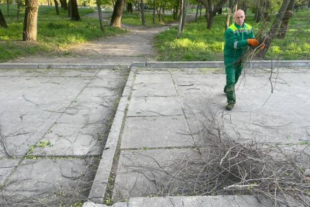 Негодою в Одесі повалено 85 дерев і великих гілок (фото)