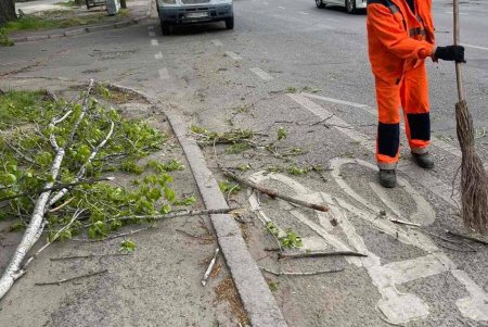 Негодою в Одесі повалено 85 дерев і великих гілок (фото)