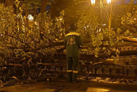 Негодою в Одесі повалено 85 дерев і великих гілок (фото)