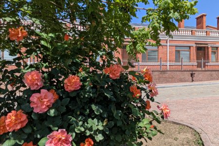 В Одесі оптимізують мережу медзакладів: що буде з інфекційною лікарнею (фото)