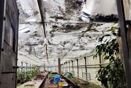 Внаслідок ворожої атаки на місто було пошкоджено теплиці та котельню КП «Міськзелентрест» (фото) Внаслідок ворожої атаки на місто було пошкоджено теплиці та котельню КП «Міськзелентрест» (фото)