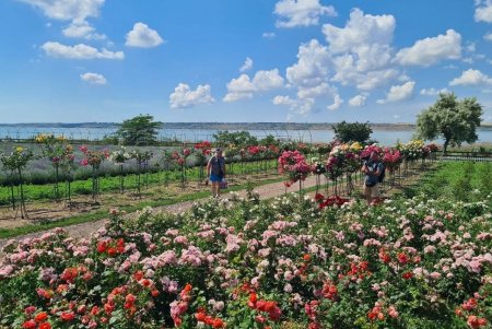 В Одесі відкрили літній сезон зустрічей «Кава з ветераном» (фото) В Одесі відкрили літній сезон зустрічей «Кава з ветераном» (фото)