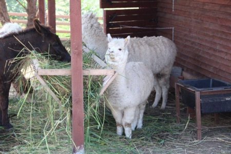В Одесі відкрили літній сезон зустрічей «Кава з ветераном» (фото) В Одесі відкрили літній сезон зустрічей «Кава з ветераном» (фото)