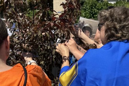 До Дня скорботи в Одесі провели акцію «Дерева пам’яті» (фото) До Дня скорботи в Одесі провели акцію «Дерева пам’яті» (фото)