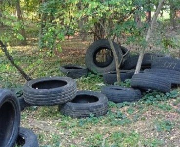 Вандали знищили озеленення на 36 вертикальних опорах (фото) Вандали знищили озеленення на 36 вертикальних опорах (фото)