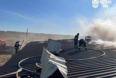 Внаслідок ворожого удару пошкоджено птахоферму, де загинула птиця (фото)