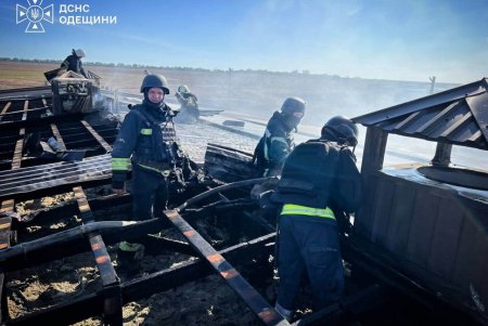 Внаслідок ворожого удару пошкоджено птахоферму, де загинула птиця (фото)