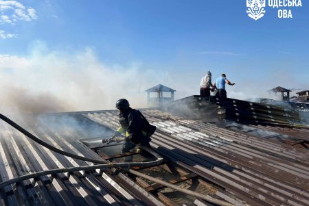 Внаслідок ворожого удару пошкоджено птахоферму, де загинула птиця (фото)