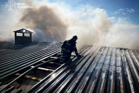 Внаслідок ворожого удару пошкоджено птахоферму, де загинула птиця (фото)