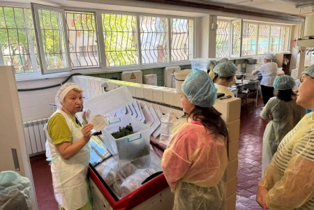 Відкрита кухня: як харчуються діти в одеських школах (фото) Відкрита кухня: як харчуються діти в одеських школах (фото)